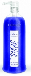 JeanPaulMyneNavitasOrganicTouchShampooBlueberry1000ml