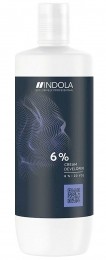 IndolaProfessionDeveloperwaterstof1000ml