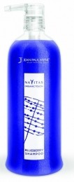 JeanPaulMyneNavitasOrganicTouchShampooBlueberry1000ml