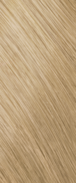 GoldwellColoranceGlossTonesWarmBlondes9BNChampagne60ml