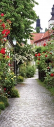 Trapbloemen130x50cmTuinschilderij-Customizeit