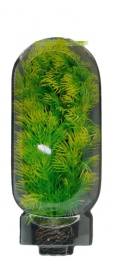 EasyPlantMiddel20CmNr5aquariaSuperfish-Superfish