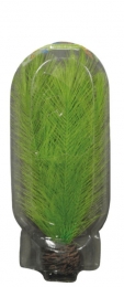 Superfisheasyplantmiddel20cmnr11-Superfish