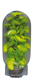 Superfisheasyplantmiddel20cmnr10-Superfish