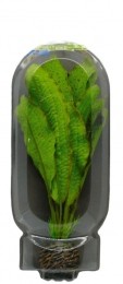 EasyPlantMiddel20CmNr12aquariaSuperfish-Superfish