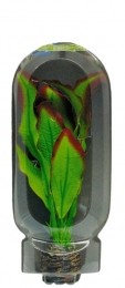 Superfisheasyplantmiddel20cmnr9-Superfish