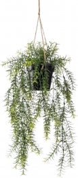 Hangplantmetpot3-Driesprongcollection