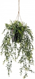 Hangplantmetpot2-Driesprongcollection
