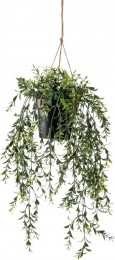 Hangplantmetpot2-Driesprongcollection