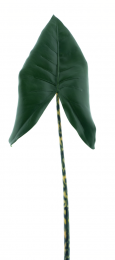 Callalilyleafgreen104cmkunstbloem-Novanature