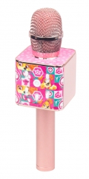 PawPatrolSkyeRozeDraadlozeKaraokeMicrofoon