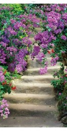 Tuindoekbloementrap170x90cmprsCustomize-it-Customizeit