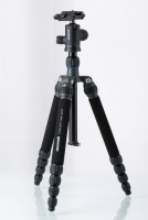 Statievenenmonopods
