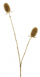 Kunstkersttakeryngiumblauwedistelgoud82cmkerstversieringNovaNature-Novanature