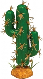 PlantcactustridentxlRepto-Repto