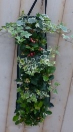 Hangzakgroenblijvend-Warentuinnatuurlijk