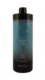 DCMDailyShampoo1000ml