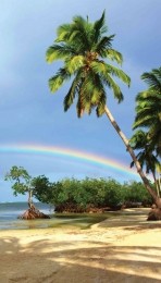 Tropenregenboog70x130cmTuinschilderij-Customizeit