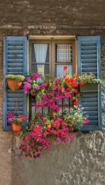 Blueshutters70x130cmTuinschilderij-Customizeit
