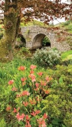 Boogbloem70x130cmTuinschilderij-Customizeit
