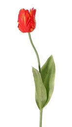 TulpTulipaparrotGardenart1bloemdia6x85cmmet2bladerenfeelreal21x75cm64cmkunstbloemIITopArt-Topart