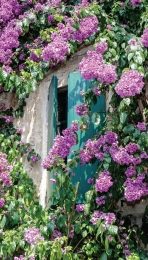 Bloemenluiken70x130cmTuinschilderijCustomize-it-Customizeit