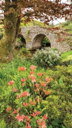 Boogbloem70x130cmTuinschilderijCustomize-it-Customizeit