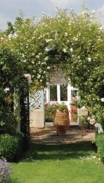 Boogkruik70x130cmTuinschilderijCustomize-it-Customizeit