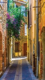 Steegschaduw70x130cmTuinschilderijIICustomize-it-Customizeit