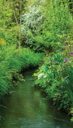 Beekje70x130cmTuinschilderijCustomize-it-Customizeit