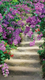 Bloementrap70x130cmTuinschilderijCustomize-it-Customizeit