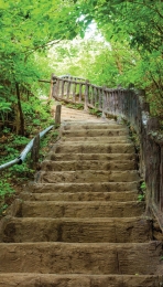 Oudetrap70x130cmTuinschilderijCustomize-it-Customizeit