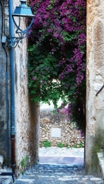 Bougainvillesteeg70x130cmTuinschilderij-Customizeit