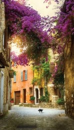 Bougainvillepoes70x130cmTuinschilderij-Customizeit