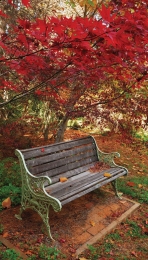 Bankje70x130cmTuinschilderijCustomize-it-Customizeit