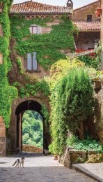 Klimoppoes70x130cmTuinschilderijCustomize-it-Customizeit