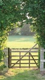 Meadow70x130cmTuinschilderij-Customizeit