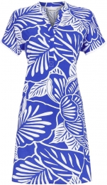 Blauwstrandjurkjewittebladeren