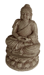 Superfishzendecobuddha-Superfish