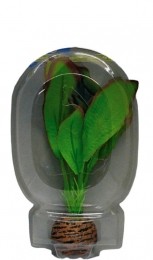 Superfisheasyplantlaag13cmnr2-Superfish