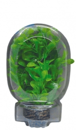 EasyPlantLaag13CmNr8aquariaSuperfish-Superfish