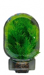 EasyPlantLaag13CmNr9aquariaSuperfish-Superfish