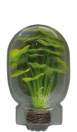 Superfisheasyplantlaag13cmnr5-Superfish