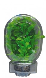 EasyPlantLaag13CmNr8aquariaSuperfish-Superfish