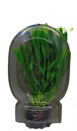 EasyPlantLaag13CmNr6aquariaSuperfish-Superfish