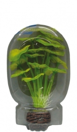 EasyPlantLaag13CmNr5aquariaSuperfish-Superfish