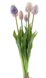BosjekunsttulpenSallyx7nwpurplelavencombo47cm-Buitengewoondeboet