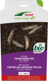 Aaltjestegenemeltenentrips100m2DCMNatuurlijkeVijanden-Dcmnatuurlijkevijanden