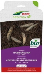 Aaltjestegenemeltenentrips50m2DCMNatuurlijkeVijanden-Dcmnatuurlijkevijanden