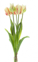 BosjekunsttulpenParrotSallyx5red40cm-Buitengewoondeboet